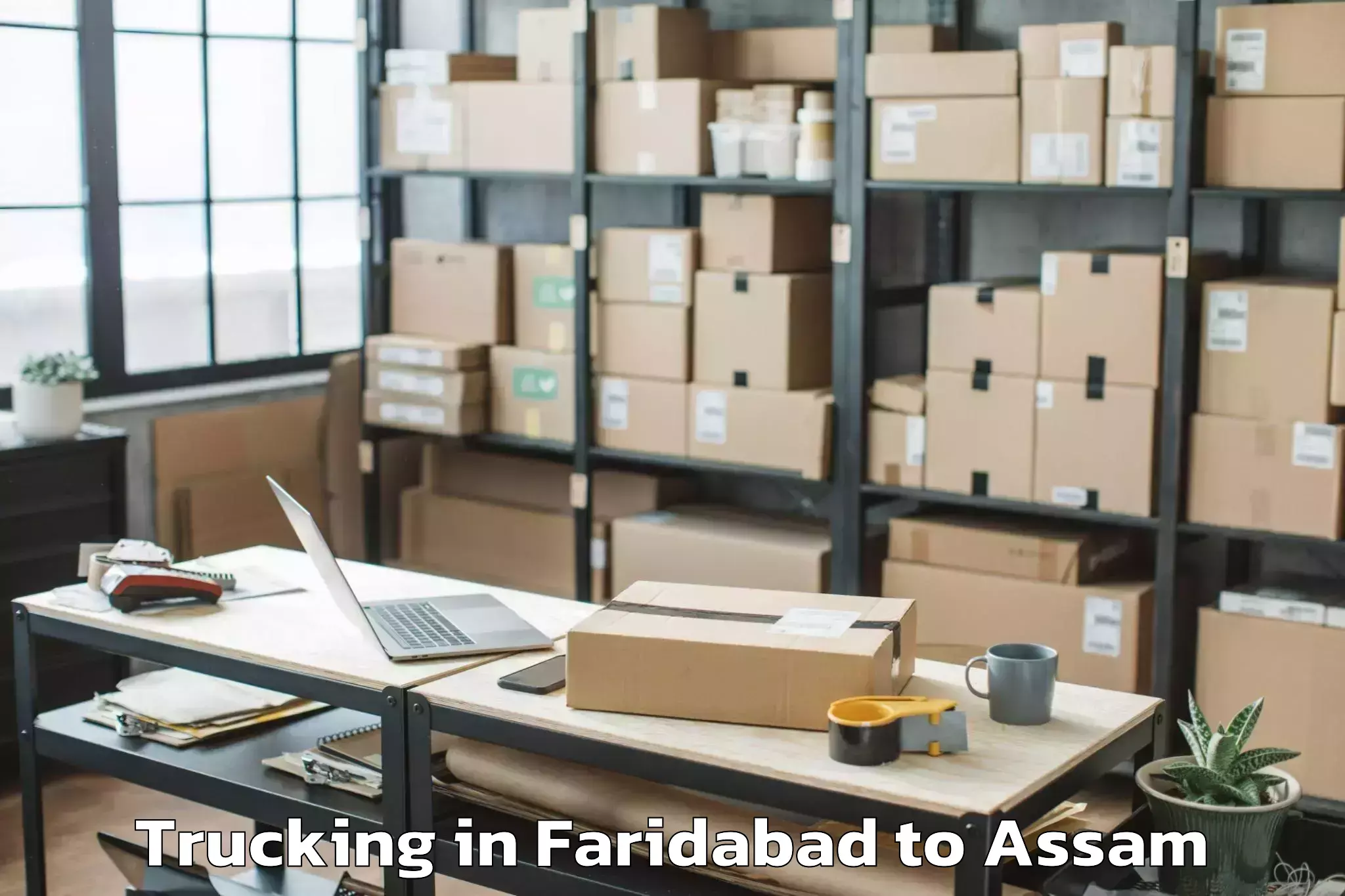 Leading Faridabad to Raha Trucking Provider